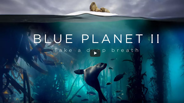 Read more about the article Pro Tools Operator for Blue Planet 2